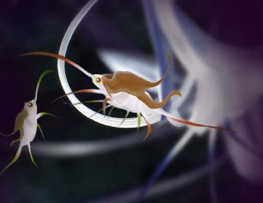 Creation of Flying insects: Step 6